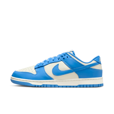 Nike Dunk Low Retro Men's Shoes